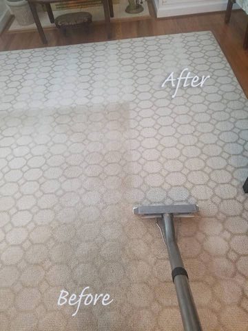 Carpet cleaned to remove pet stains and odor in a Charlotte home