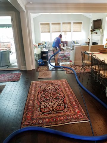 Oriental rug cleaned in a Charlotte home