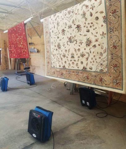 Fine rugs drying in the Metro Steamway rug spa